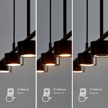 Clyde 2-Armed Pendant Light